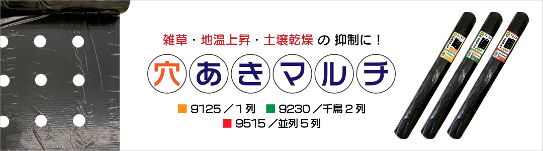 anaaki_1080_300.jpg
