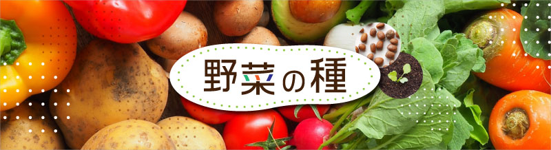 種