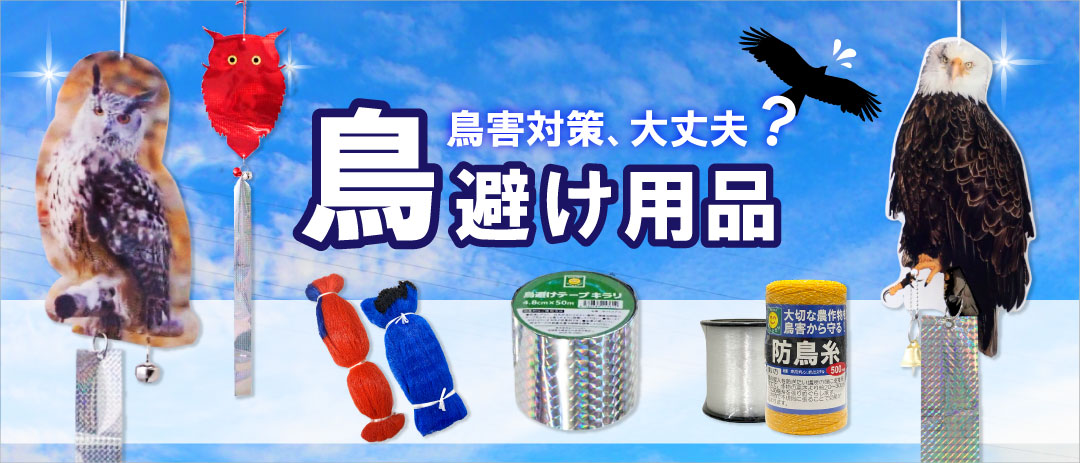 pbtorisake_1080_463.jpg