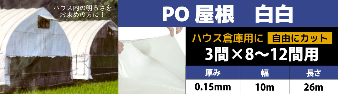 PB白白PO