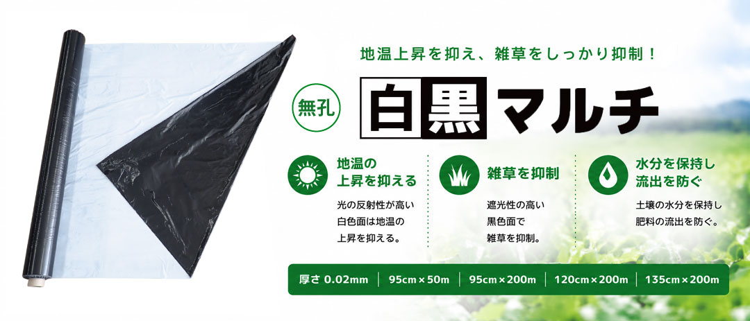 白黒マルチ