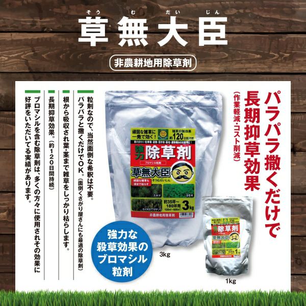 除草剤 草無大臣 3kg ブロマシル粒剤／そうむだいじん／非農地用