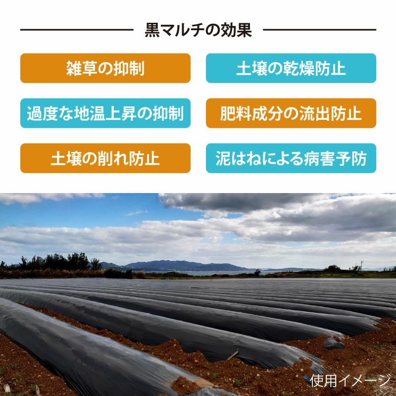 黒マルチ 無孔 厚さ0.02mm×幅75cm×長さ200m 1本／5本セット | 農家のお