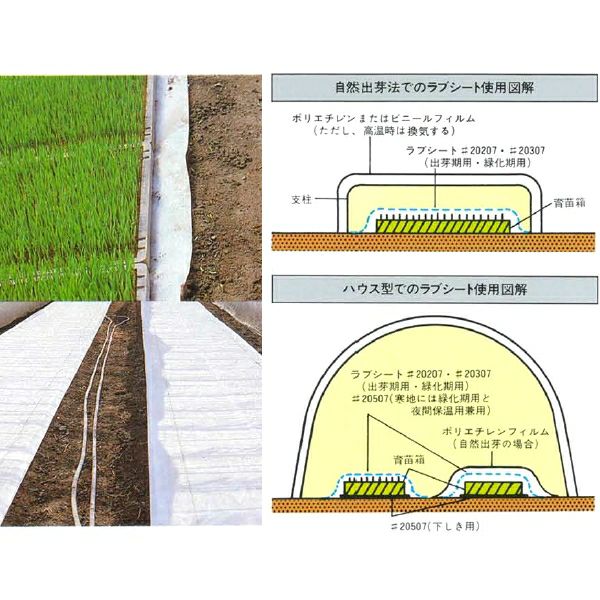 処分 農業用 ユニチカ ラブシート 2本 【公式通販】