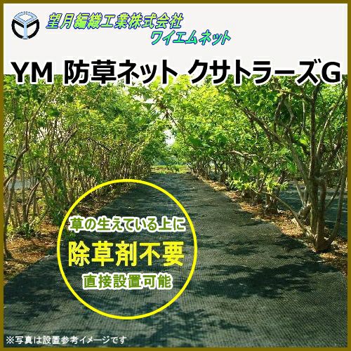 望月編織工業株式会社 YM 防草ネット クサトラーズG 緑×黒 幅200cm×長