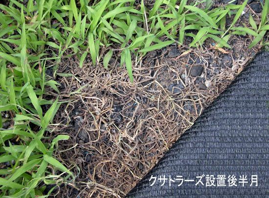 望月編織工業株式会社 YM 防草ネット クサトラーズG 緑×黒 幅200cm×長