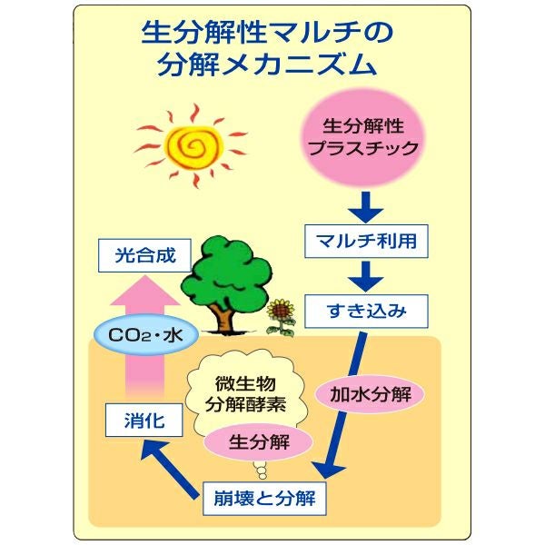 生分解マルチ カエルーチ 黒 (厚み)0.018mm×(幅)95cm×(長さ)200m