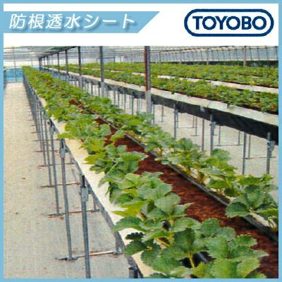 東洋紡 防根透水シート BKS0812G (白) 幅125cm×長さ100m | 農家のお店