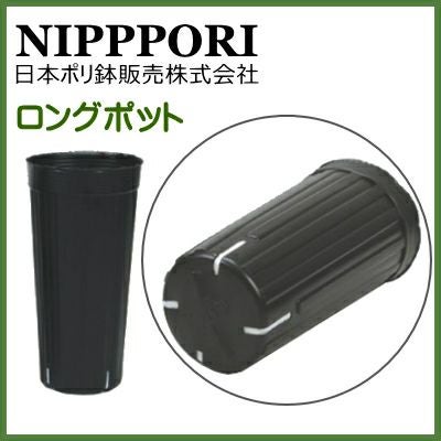 000000004279-01.jpg?size=m&w=