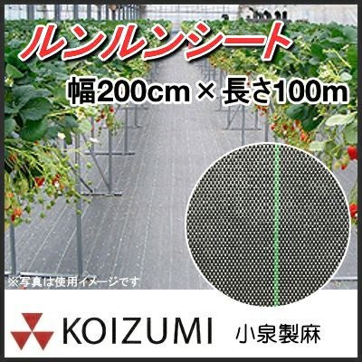 MS1101【完全未使用】防草シート 小泉製麻 楽ちんシート 園芸 農業 家庭菜園 ビニールハウス 100m 黒×黒 製品情報｜防草シート（農業用途） | 小泉製麻株式会社
