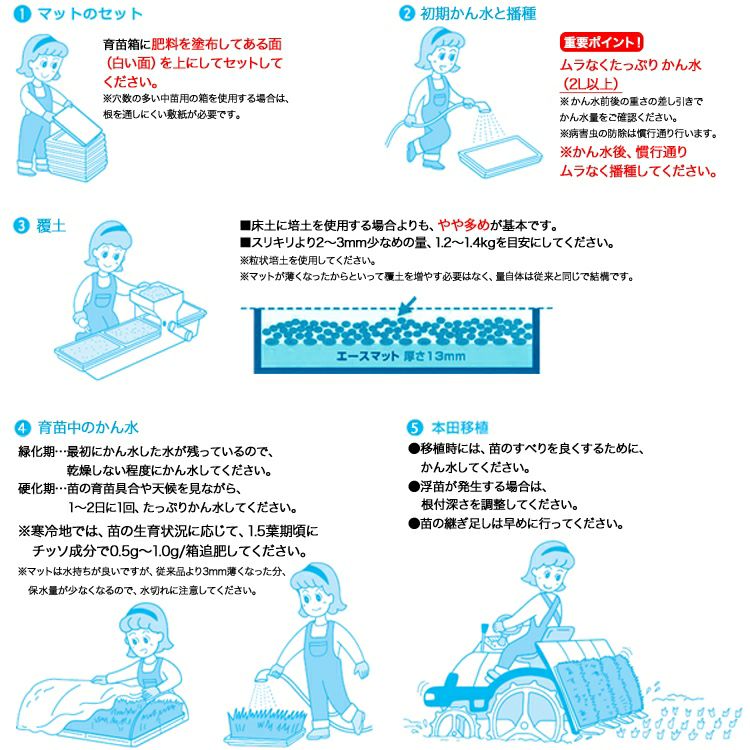 水稲育苗用ロックウールマット エースマット Kタイプ (寒冷地用) 30枚