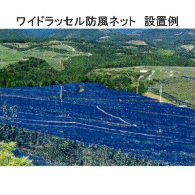 日本ワイドクロス ワイドラッセル防風ネット BL100 (ブルー) 目合1mm