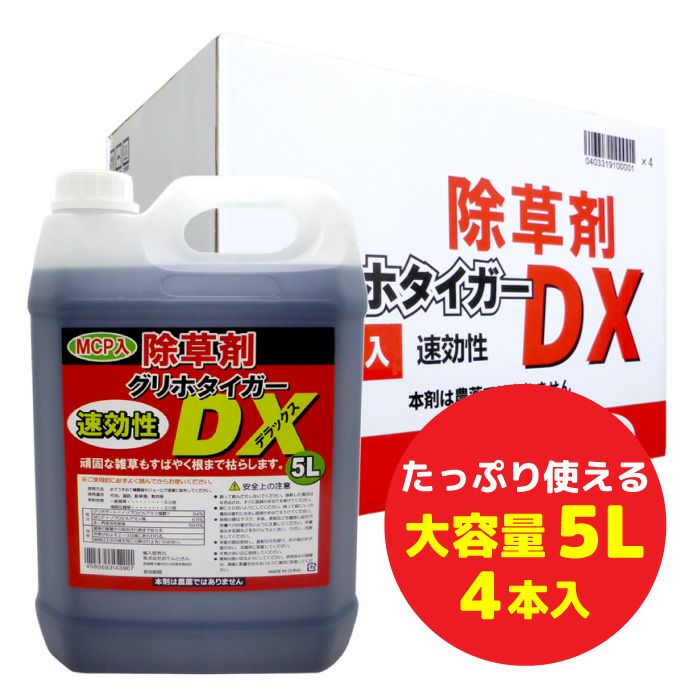 000000005151-01.jpg?size=m&w= 000000005151-01.jpg?size=m&w=