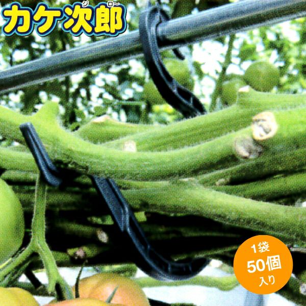 カケ次郎　 カケ次郎(品番KJR-50 50個): 農業資材