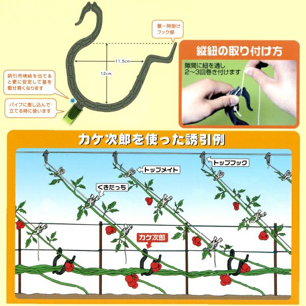 シーム カケ次郎 50個入 茎整理・病気対策フック | 農家のお店おてんとさん