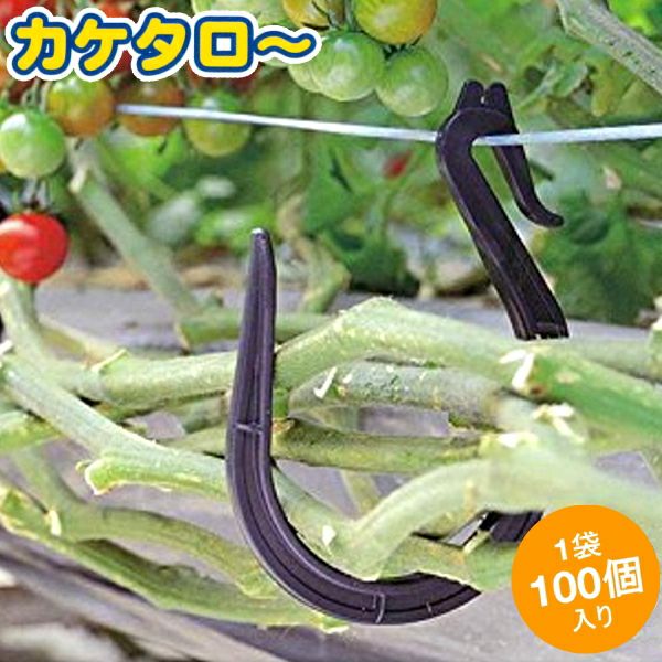 シーム カケタロー 100個入 茎整理・病気対策フック | 農家のお店お