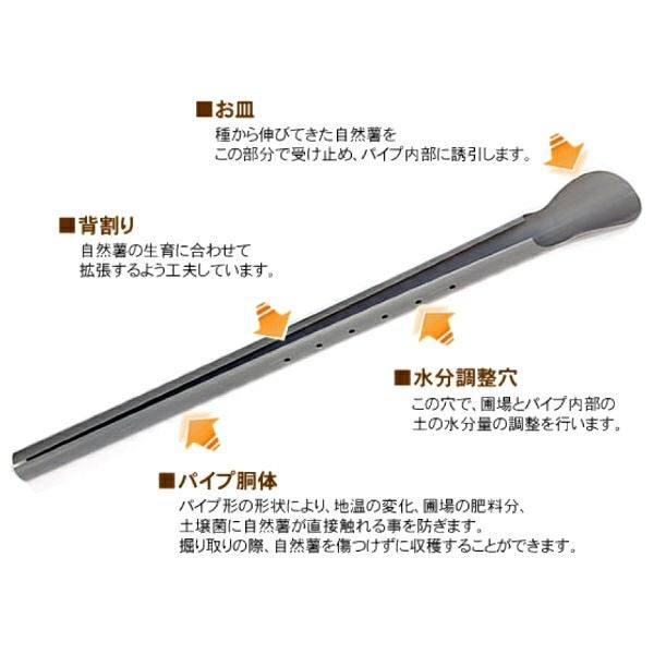 政田自然農園 クレバーパイプ 長芋用 長さ105cm 10本入り (長いも栽培