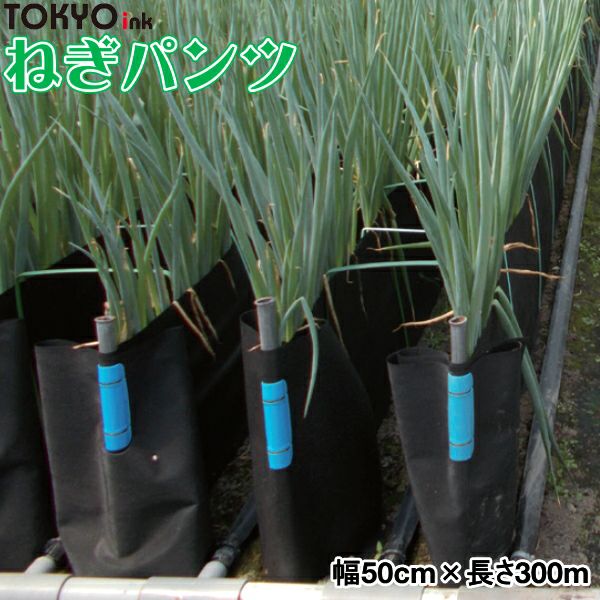 ネギ栽培の遮光板　2000枚以上 軟白ねぎ栽培用遮光シート ねぎパンツ 幅50cm×長さ300m | 農家のお店お