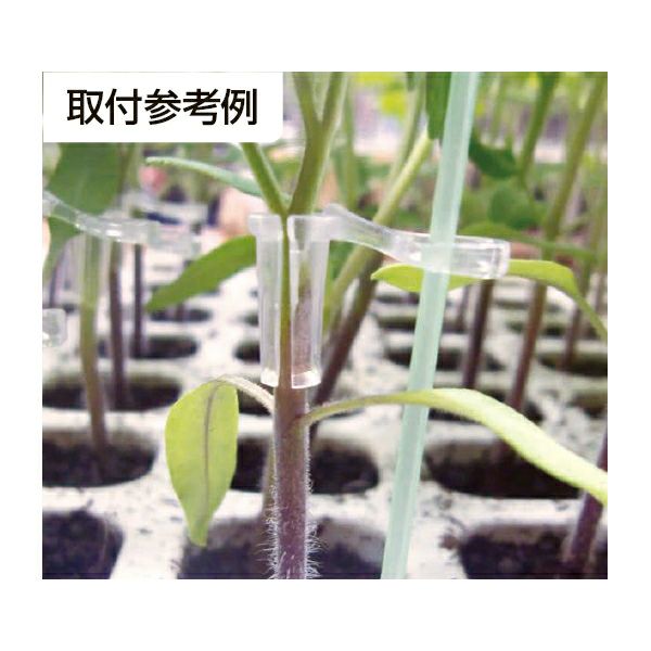 接木・育苗補助具｜育苗・播種・栽培管理｜農家のお店おてんとさん