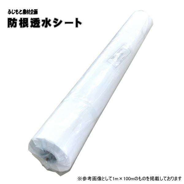 000000006528-01.jpg?size=m&w=