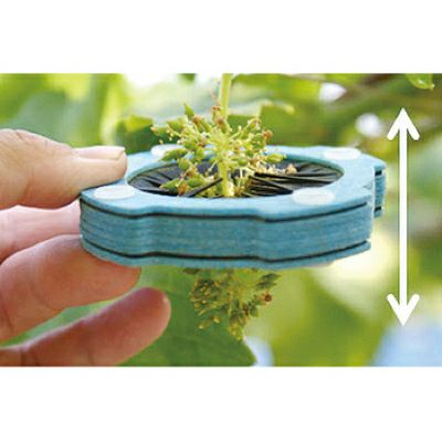 ぶどうの花冠取り器 Ver.2 YYY999-3702 2個入り 花冠除去器 | 農家のお