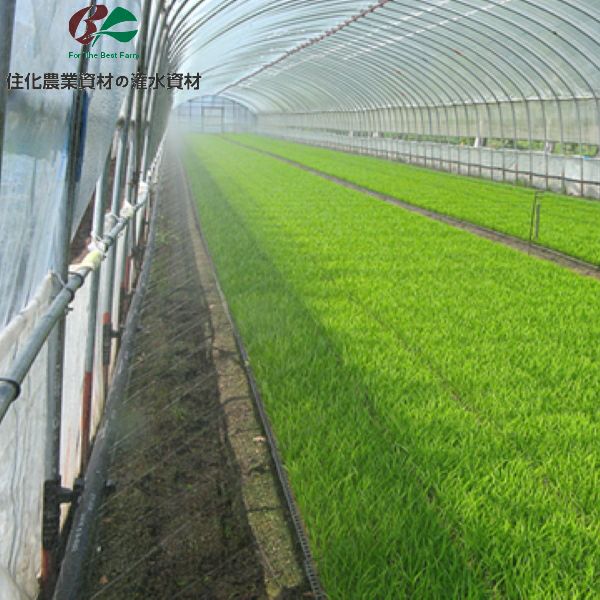 住化農業資材 潅水チューブ ミストエースS54 (4.5～6.3m間口用) 120m 1