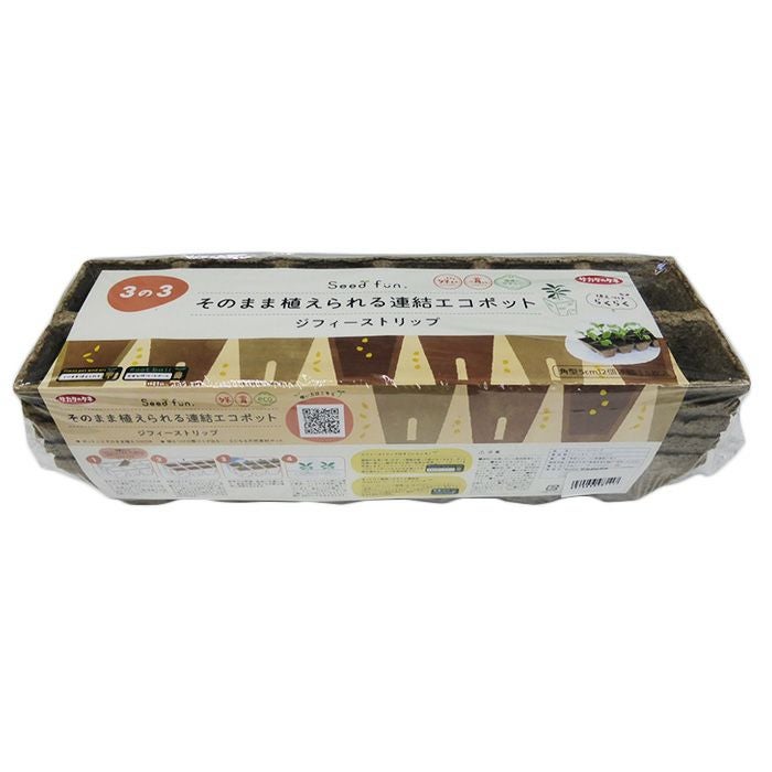 Top【選抜株】19705アイスランディック　コフィー　20個　鉢無し/脱土 藤巻百貨店 エケベリア・セダム