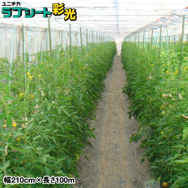 農業用高透光性不織布 ラブシート 彩光 幅2.1m×長さ100m | 農家のお店