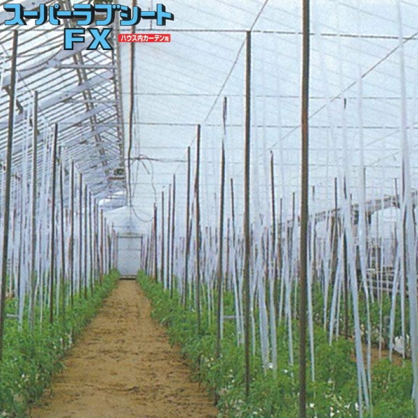 プラグトレイ 50穴 手植え用 黒 100枚入 富川化学工業 プラグトレー