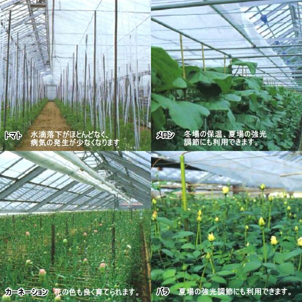 農業用長繊維不織布 スーパーラブシートFX 20557FXZ 幅1.5m×長さ100m