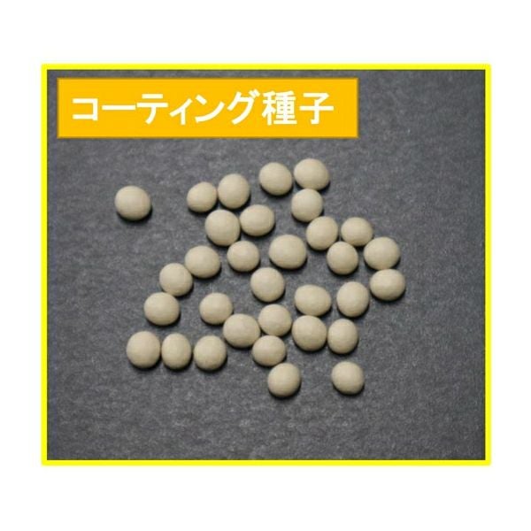 みのる産業 簡易播種機 ハンディ播っく G-12 コート種子専用 4種類(3S