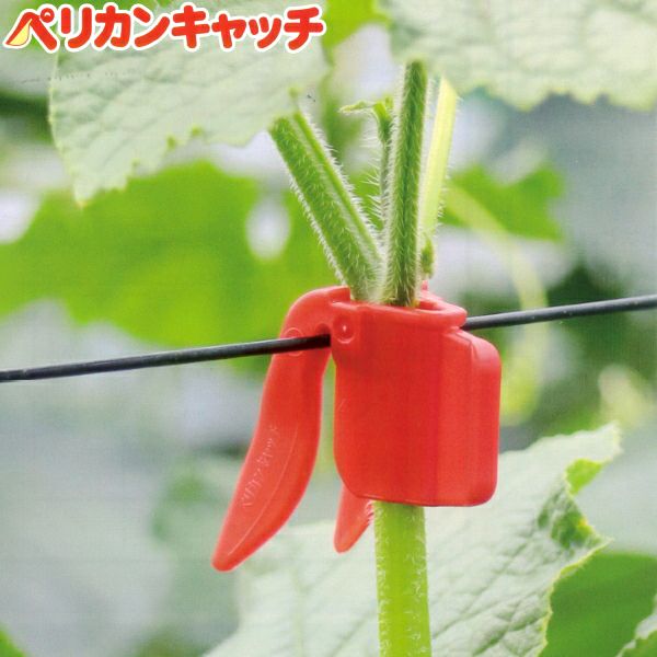 誘引クリップ しちゅうキャッチ20 (支柱径20ミリ用) 緑 24個入 | 農家
