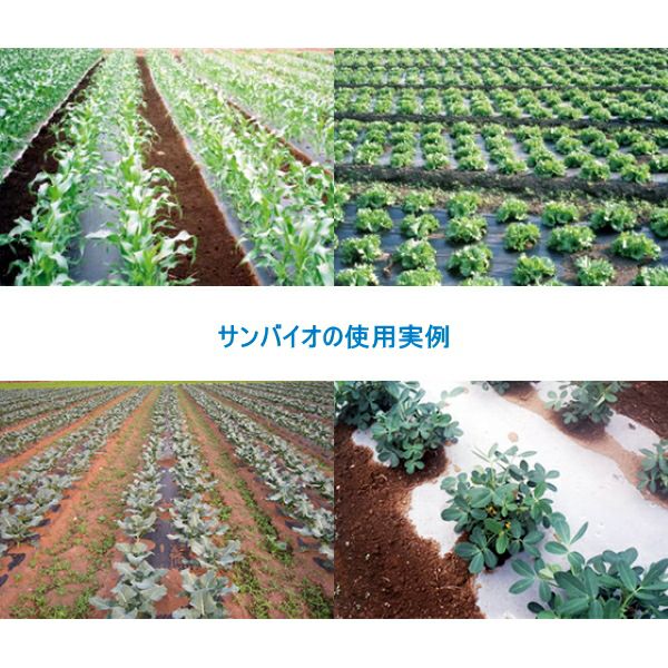 サンバイオ　有孔　95㎝✖️200m 10本セット サンプラック工業 生分解マルチ サンバイオ 黒 (厚み)0.018mm×(幅)95cm