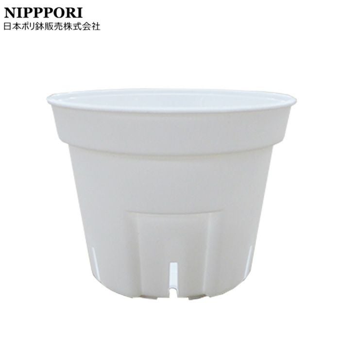 000000008955-01.jpg?size=xl&w=