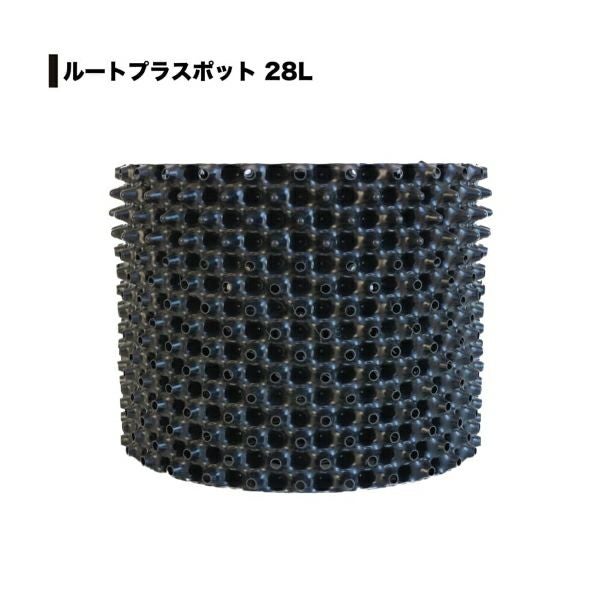 ルートプラスポット GS-AP400M 50L 果樹 観葉植物 多肉植物 緑化樹栽培
