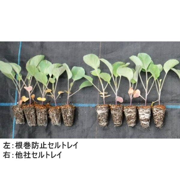 タキイ 根巻防止ワンウェイ・セルトレイ 白 72穴 100枚 | 農家のお店お