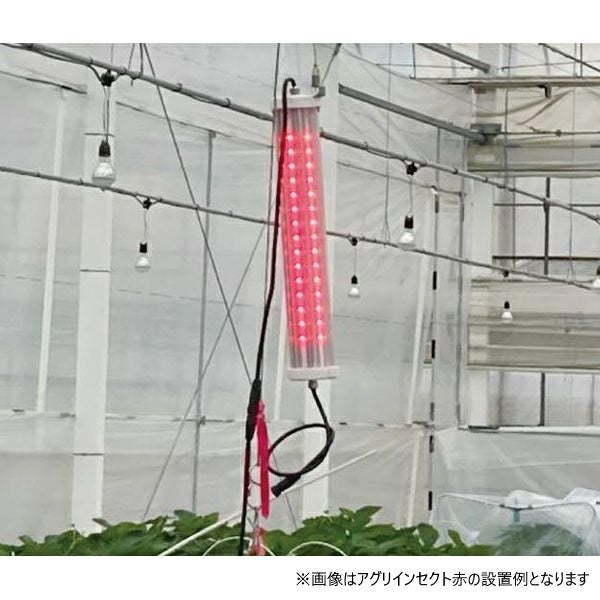 000000009470-01.jpg?size=m&w=