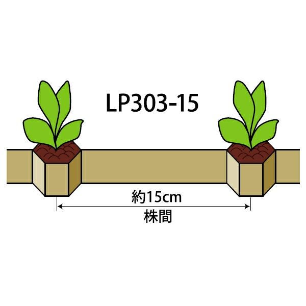 チェーンポット　LP303-15　103冊 ニッテン ロングピッチチェーンポット LP303-15 径3cm×高3cm 株間15cm