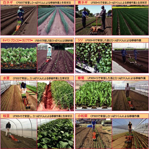 ニッテン チェーンポット簡易移植機 ひっぱりくん HP-16 溝切深さ 73mm