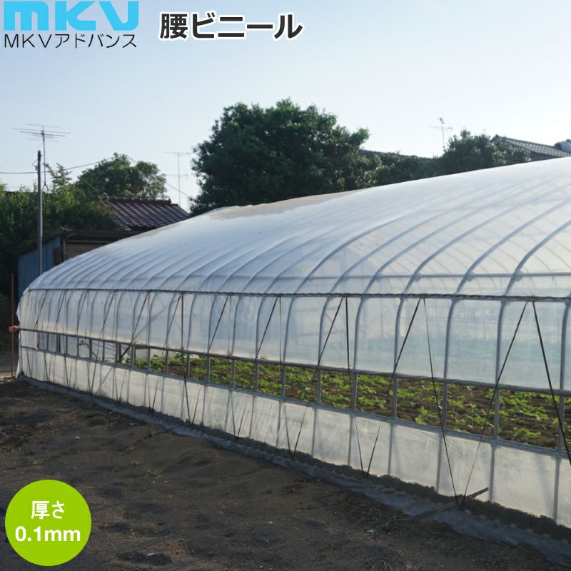 MKV 農ビ ENGEI 腰ビニール (側面ビニール) 2.5×3間 0.1mm×150cm×20m