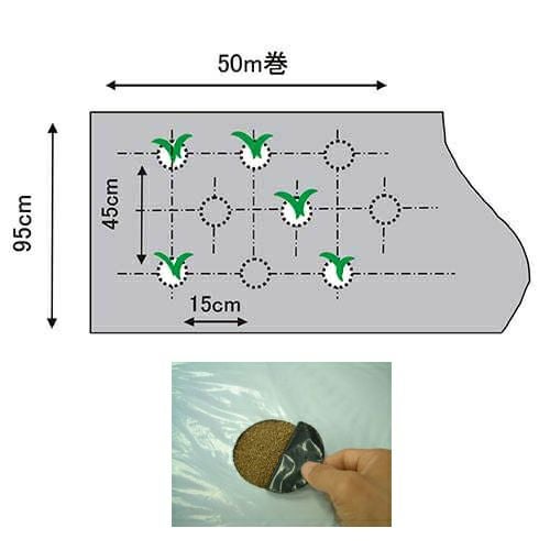 イワタニ 菜園用フリーホール白黒マルチ 厚み0.02mm×幅95cm×長さ50m 穴