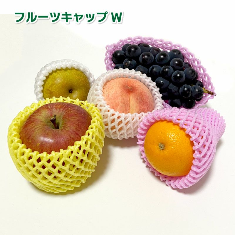 乾電池式ジベ処理器 らくらくカップ2用 交換カップ(噴射リング付