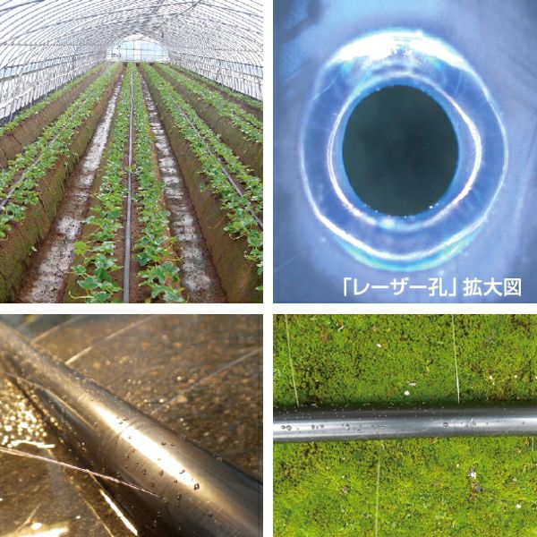 タキロンシーアイ セフティ灌水チューブ 両面 厚さ0.12mm×巾50mm×200m