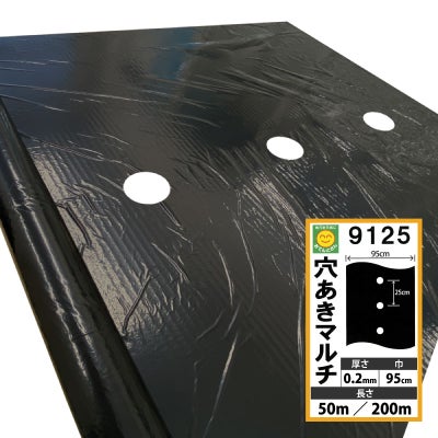 穴あき黒マルチ 9125 厚さ0.02mm×幅95cm【長さ選択】50m／200m 60mm孔 