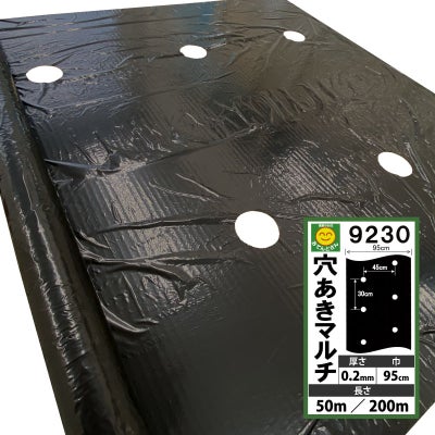 000000011261-01.jpg?size=m&w= 