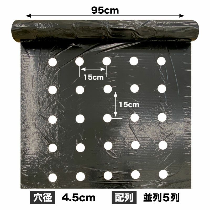 穴あき黒マルチ 9515 厚0.02mm×幅95cm×長50m／厚0.02mm×幅95cm×長200m