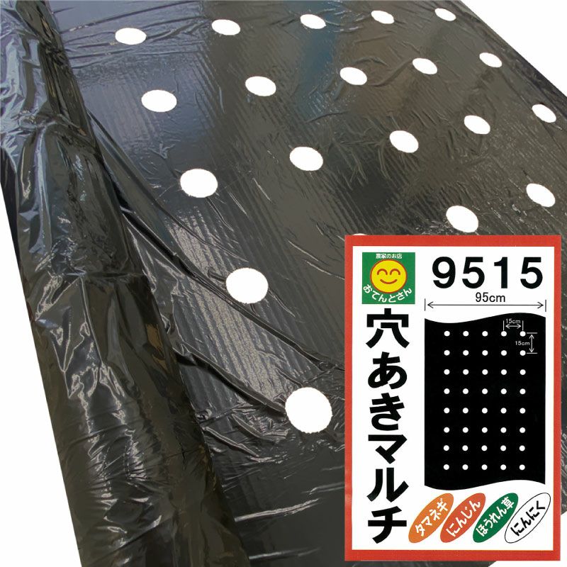 ニンニク用穴あき黒マルチ Amazon.co.jp: 農業用マルチシート 農ポリ タマネギ・ニンニク用 穴