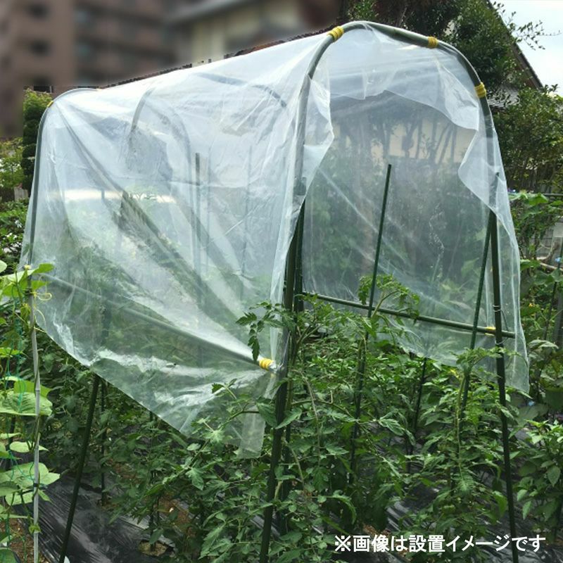 菜園用 雨よけセット 1m×2.1m／1.9m×2.1m／1m×3m／1.9m×3m 野菜 | 農家