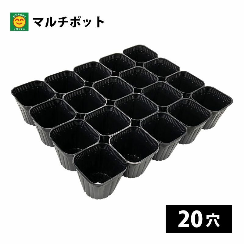 価格応談可　144穴　野菜プラグポット 144号 育苗用 プラグポット 1枚 ノーブランド 【通販モノタロウ】
