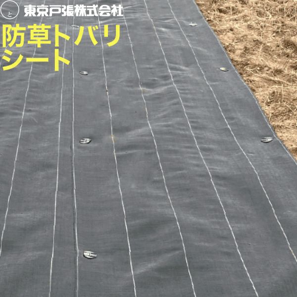 防草シート ザバーン用防草ワッシャー 緑 50個入り | 農家のお店おてん